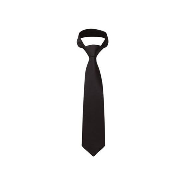 Picture of Standard Polyester Tie