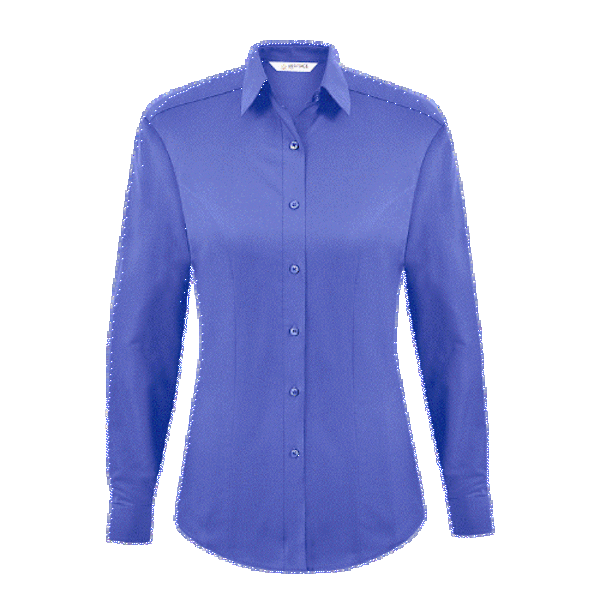 Picture of Disley Ladies Oxford L-S Blouse (see new code)