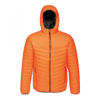 Picture of Acadia ll Warmloft Jacket