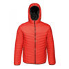 Picture of Acadia ll Warmloft Jacket