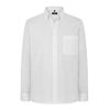 Picture of Disley Oxford L-S Shirt