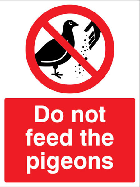 Picture of Do not feed the pigeons