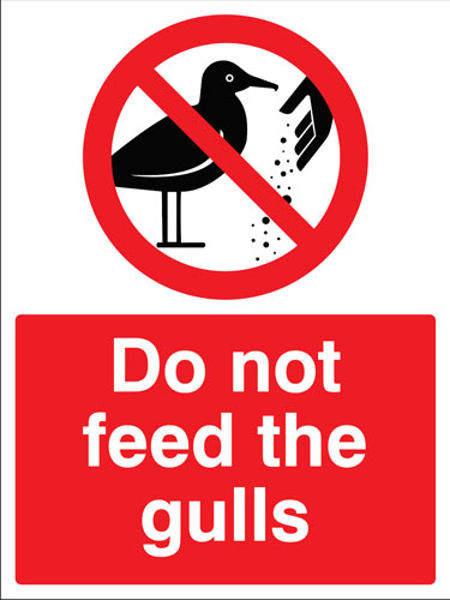 Picture of Do not feed the gulls