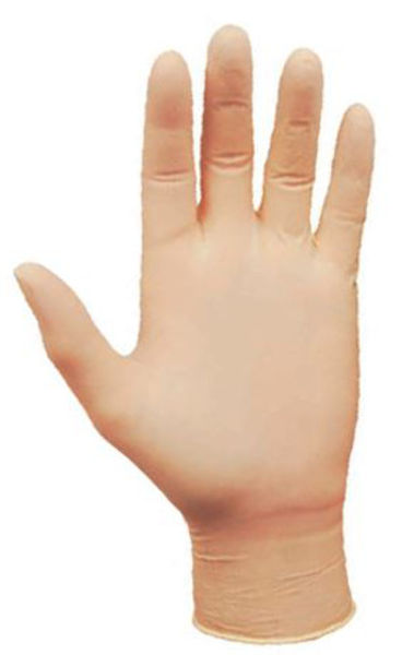 Picture of Unique Synthetic Vinyl Glove - Clear (1x100)