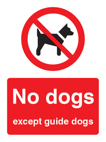 Picture of No dogs except guide dogs