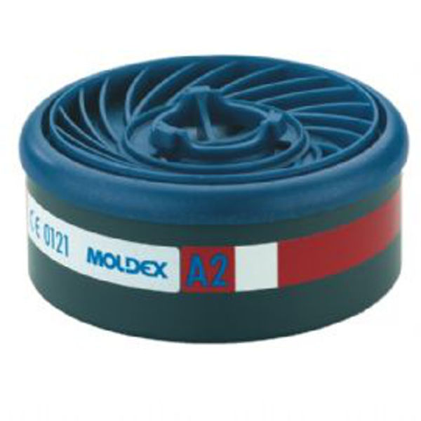 Picture of Moldex Easylock Filters (pair) - A2
