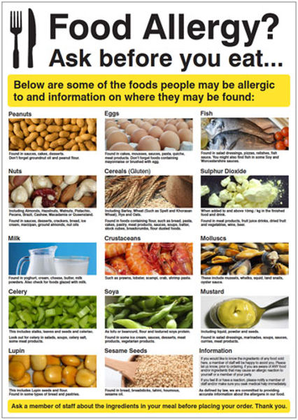 Picture of Food allergy poster 420x594mm synthetic paper