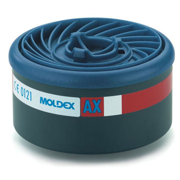 Picture of Moldex Easylock Filters (pair) - AX
